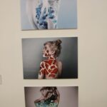Collective Focus – Visual Arts Exhibition 2014