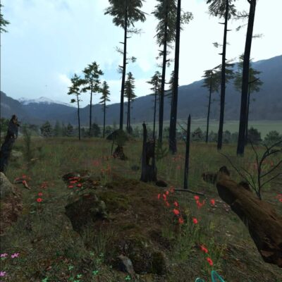 Nature Treks - pine tree area