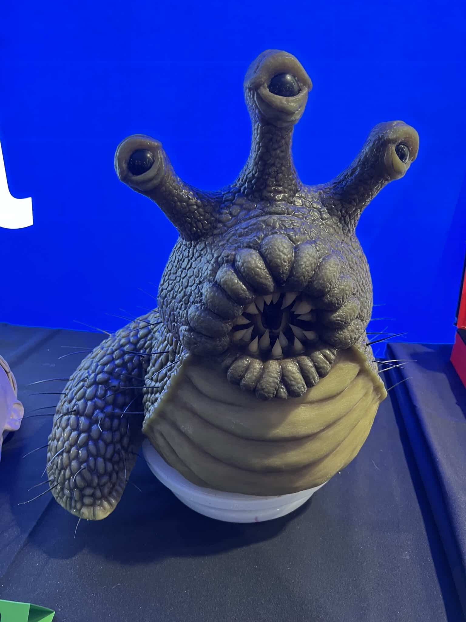 prosthetics animals