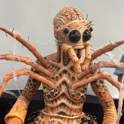 spider prosthetics