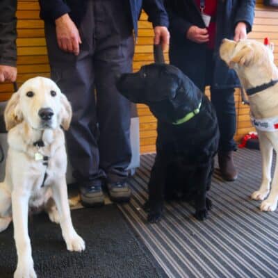 Foundation Learning students raise money for Guide Dogs
