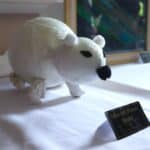 Foundation Learning students present ice-cold exhibition