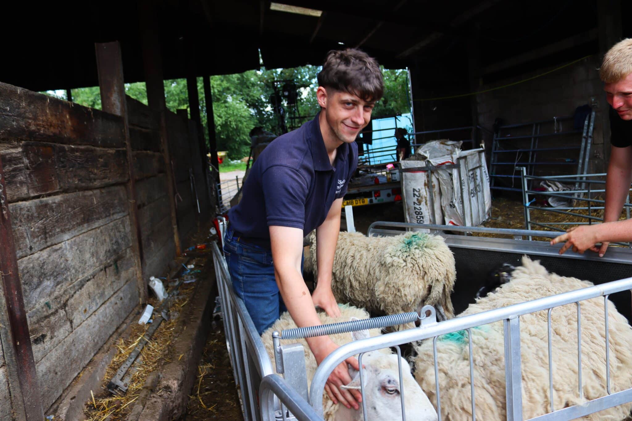 Supported Intern launches sheep farming career