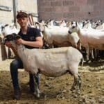 Supported Intern launches sheep farming career