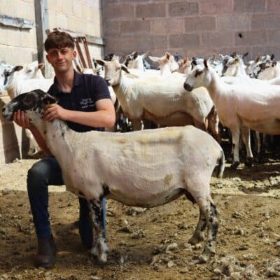 Supported Intern launches sheep farming career