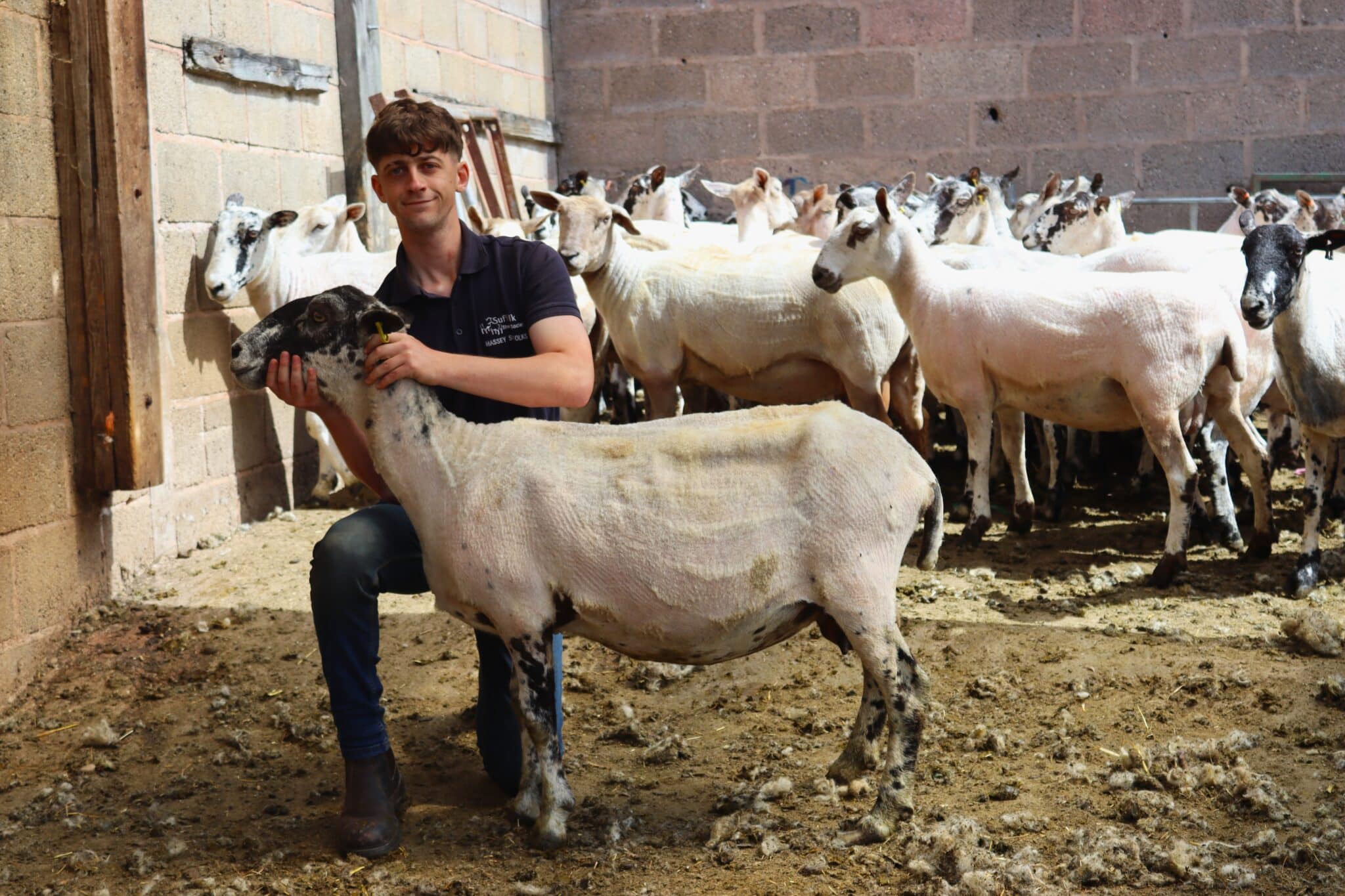Supported Intern launches sheep farming career